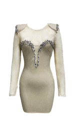 RHINESTONE MESH MINI DRESS IN SLIVER